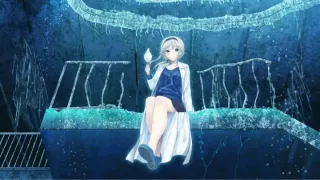 未来无线电和人工鸽