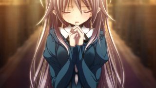 青鸟 アオイトリ
