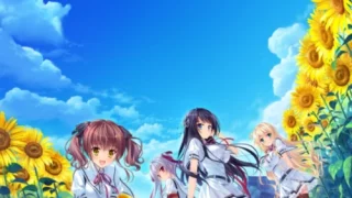 追忆夏色年华
