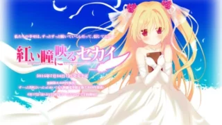 映入红瞳的世界（五彩斑斓的世界FD）