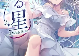 流る星 -a wish star-