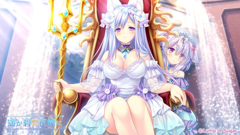 46255ba6ba5abd7b95937dd171ea14d6