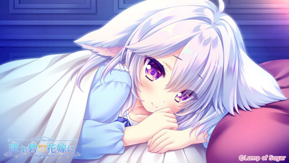 a0b50e84d004d36c514bad21d88181e4