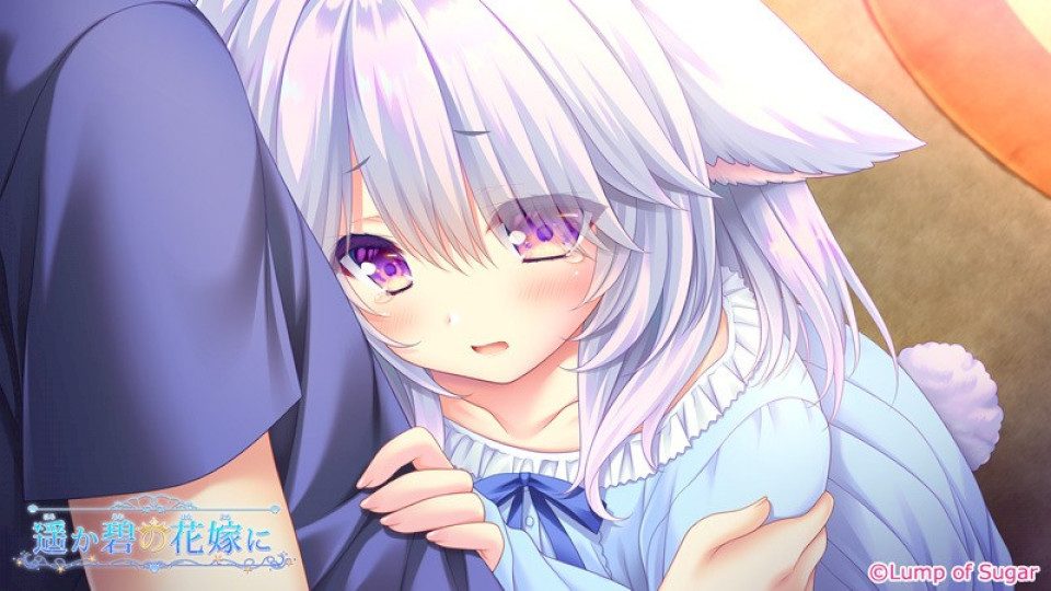 ceb765703eb5ac18ce0c9760926d49d3