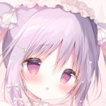 ベゴニア